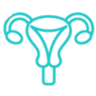 Gynaecology - Obstetrics